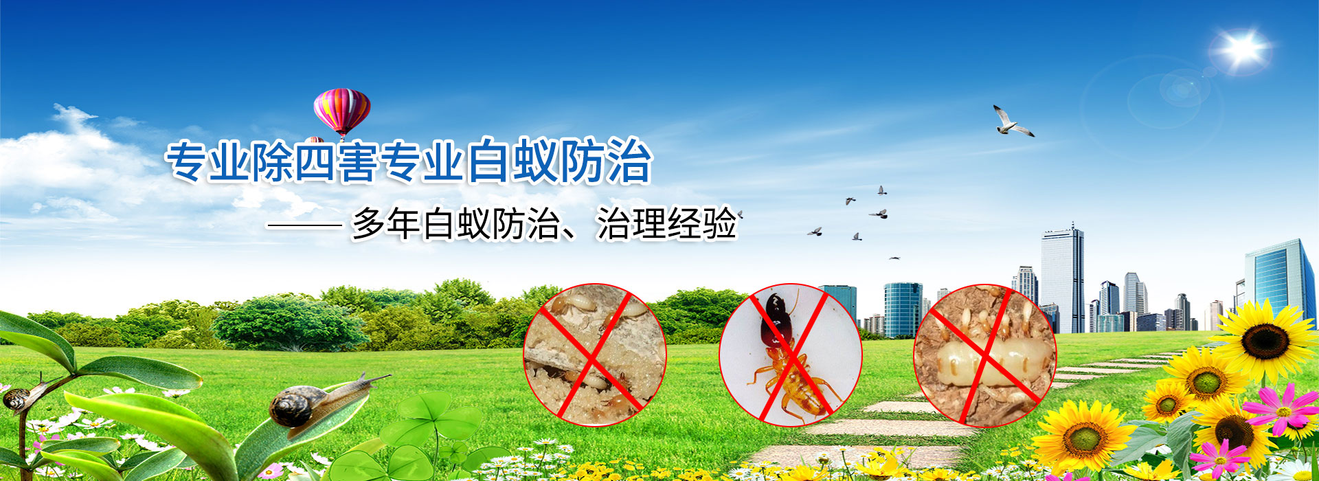 成都公司资质认证 专业有害生物防治
