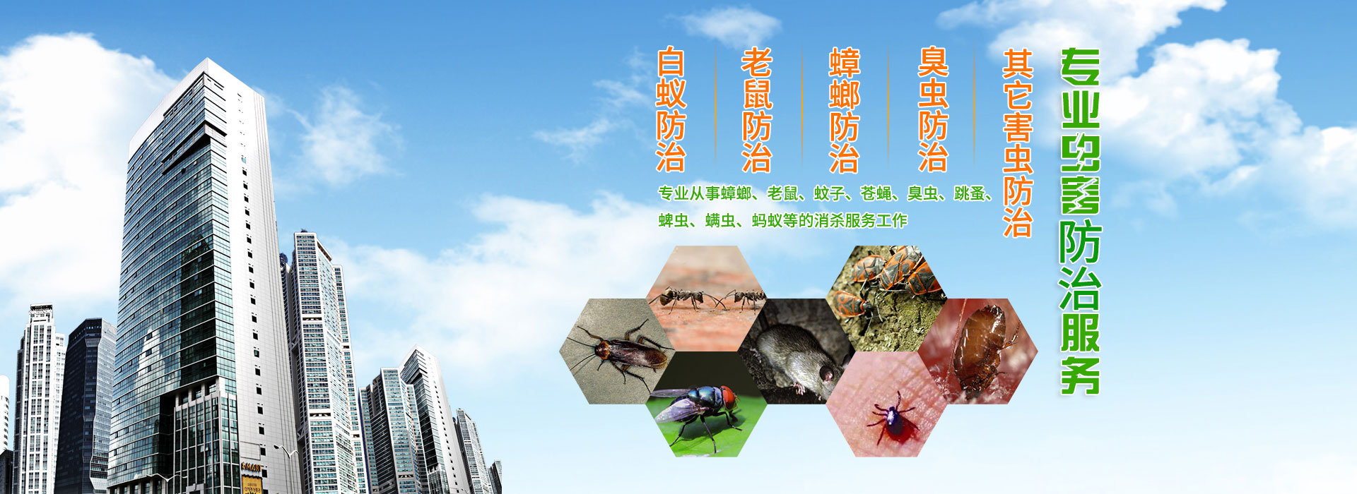 成都尚卫有害生物防治——专业虫控，守护无鼠虫害环境