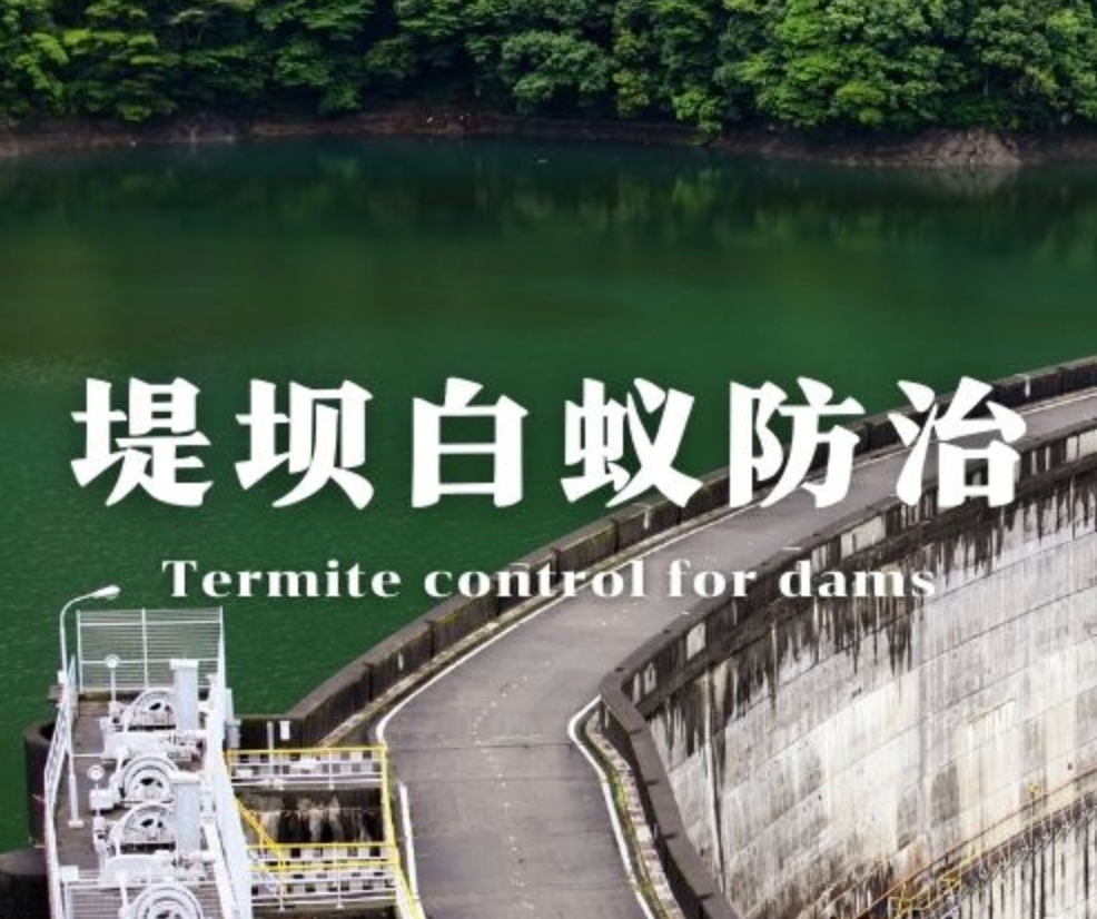 天府新区太平街道水库大坝白蚁防治项目